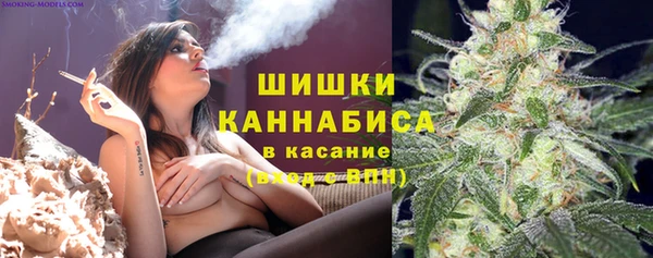 ПСИЛОЦИБИНОВЫЕ ГРИБЫ Белокуриха