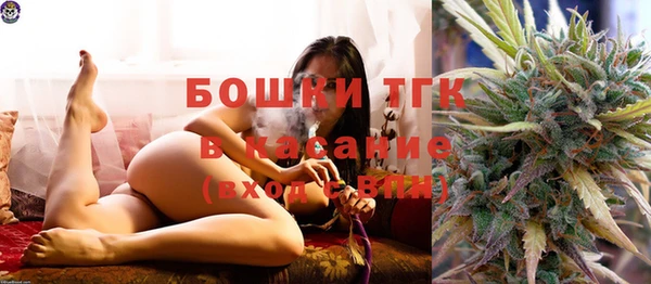 ПСИЛОЦИБИНОВЫЕ ГРИБЫ Белокуриха