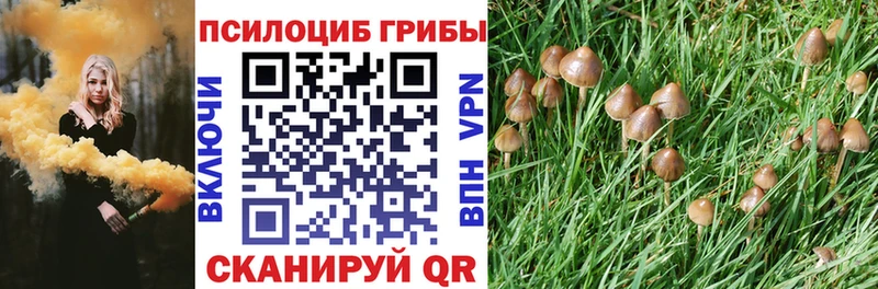Галлюциногенные грибы прущие грибы  MEGA ссылки  Сухиничи 