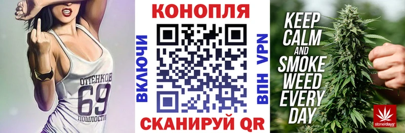 купить   Сухиничи  Конопля гибрид 